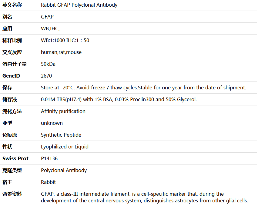 GFAP Antibody,索莱宝,K001303P-100ul