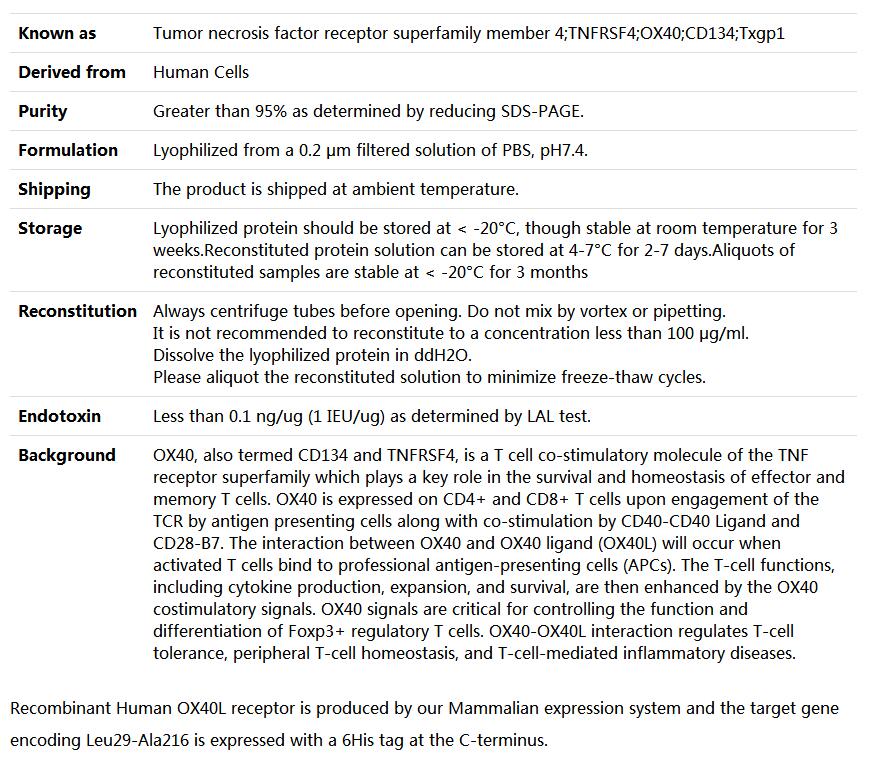 Recombinant Human OX40/TNFRSF4,索莱宝,P00203-500ug