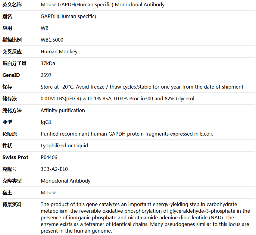 GAPDH(Human specific) Antibody,索莱宝,K000026M-100ul