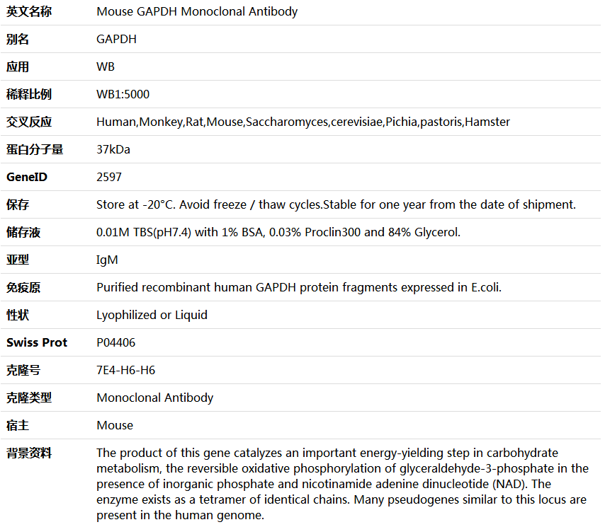 GAPDH Antibody,索莱宝,K000027M-100ul