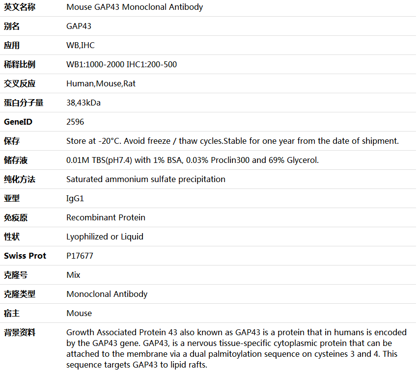GAP43 Antibody,索莱宝,K000224M-100ul