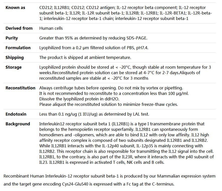 Recombinant Human IL-12RB1/IL12RB/CD212,索莱宝,P00201-1mg