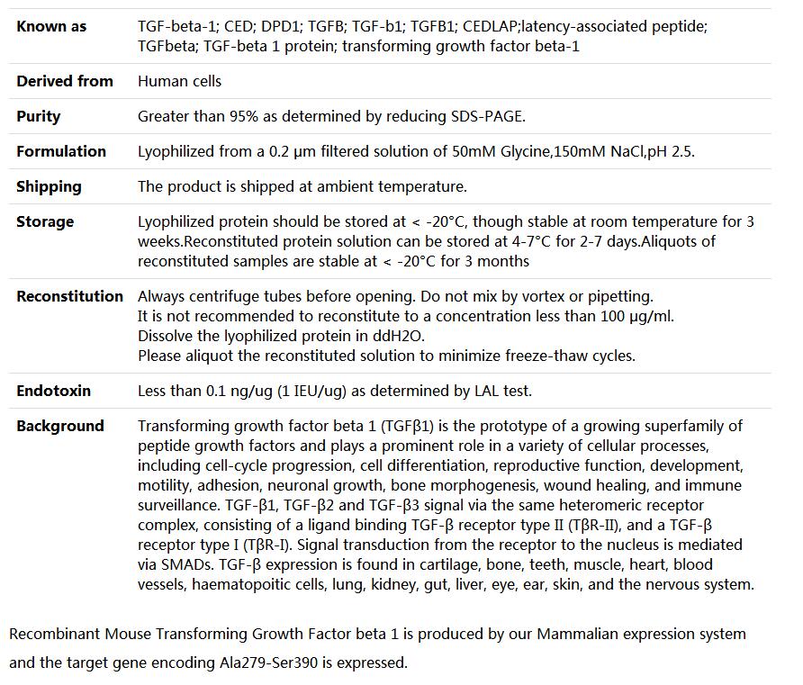 Recombinant Mouse TGF-beta 1/TGFB1,索莱宝,P00199-1mg