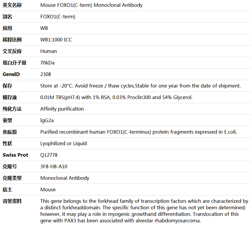 FOXO1(C-term) Antibody,索莱宝,K000045M-100ul