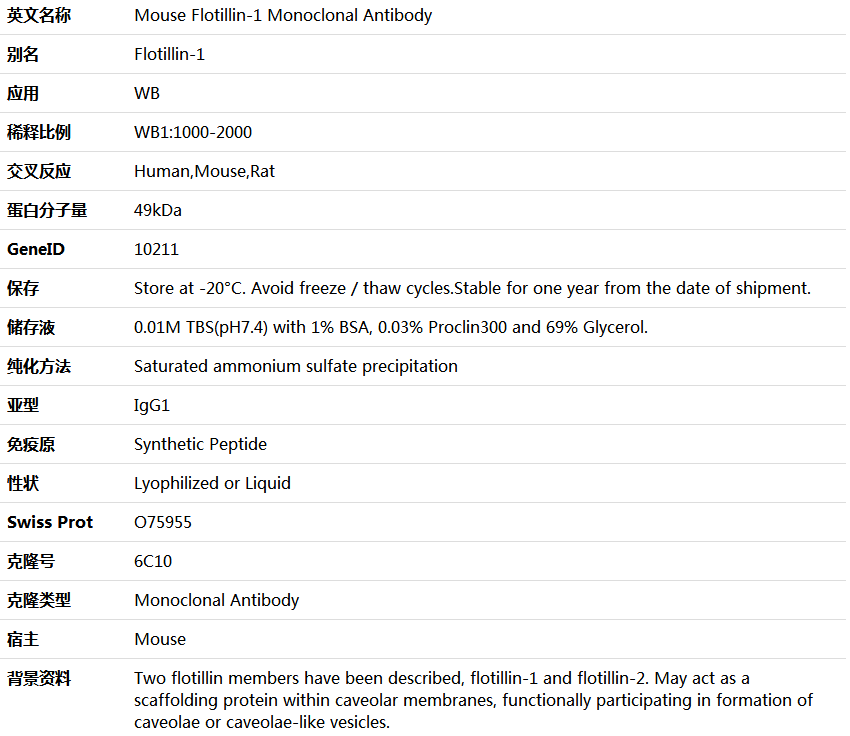 Flotillin-1 Antibody,索莱宝,K000218M-100ul