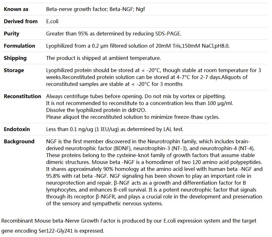 Recombinant Mouse beta-NGF/β-Nerve Growth Factor/β-NGF,索莱宝,P00197-50ug