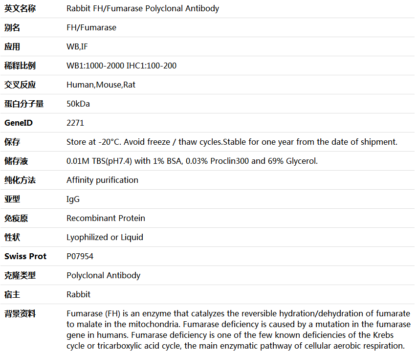 FH/Fumarase Antibody,索莱宝,K000479P-100ul