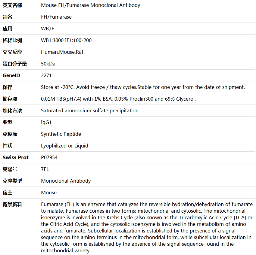FH/Fumarase Antibody,索莱宝,K000204M-100ul