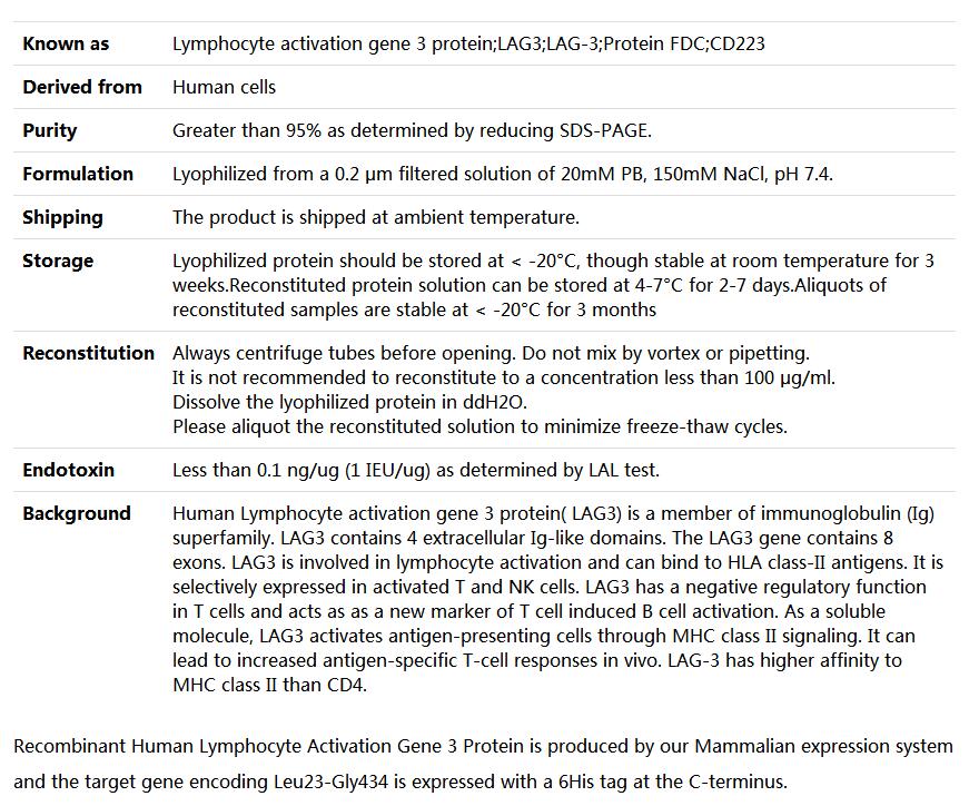 Recombinant Human LAG3/CD223/Lymphocyte activation gene 3 Protein,索莱宝,P00191-50ug