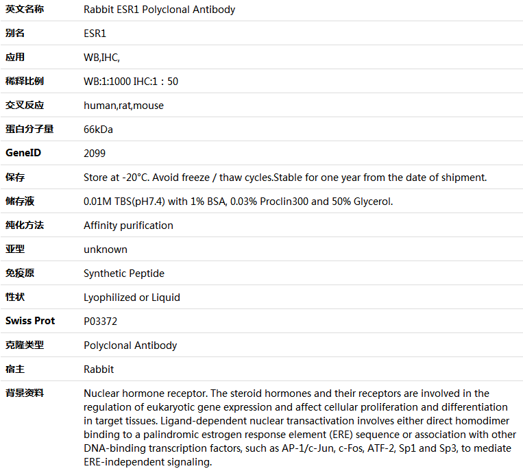 ESR1 Antibody,索莱宝,K001298P-100ul