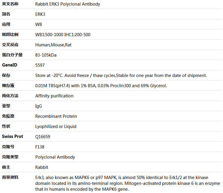 ERK3 Antibody,索莱宝,K000491P-100ul