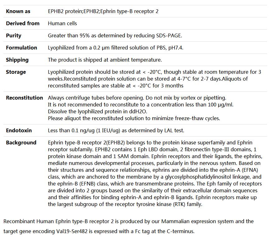 Recombinant Human EphB2/Ephrin type-B receptor 2,索莱宝,P00187-10ug
