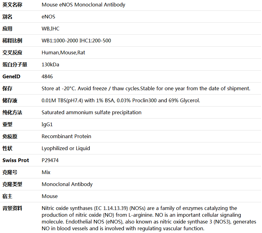 eNOS Antibody,索莱宝,K000221M-100ul