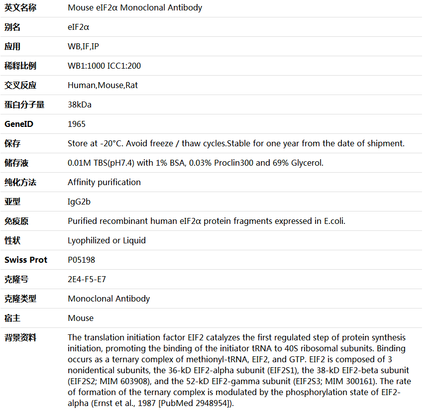 eIF2α Antibody,索莱宝,K000162M-50ul