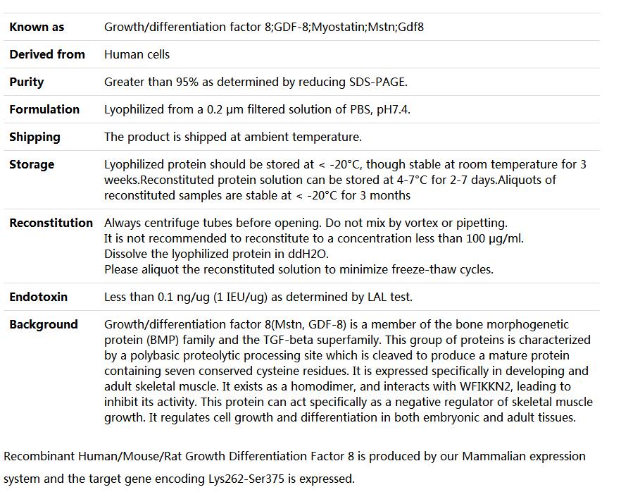 Recombinant Human/Mouse GDF-8/Myostatin/MSTN,索莱宝,P00183-500ug