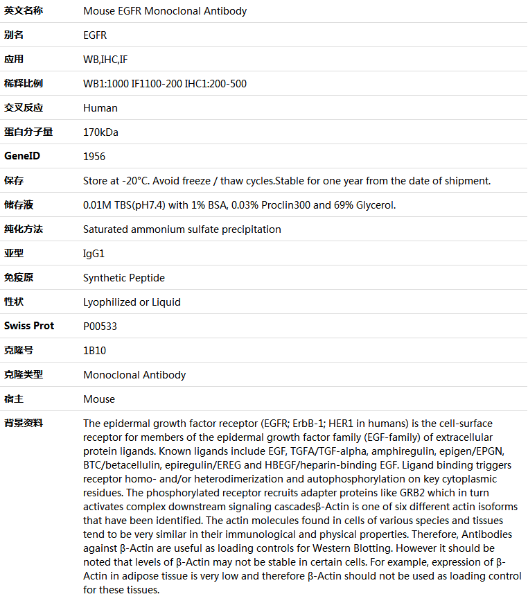 EGFR Antibody,索莱宝,K000196M-100ul