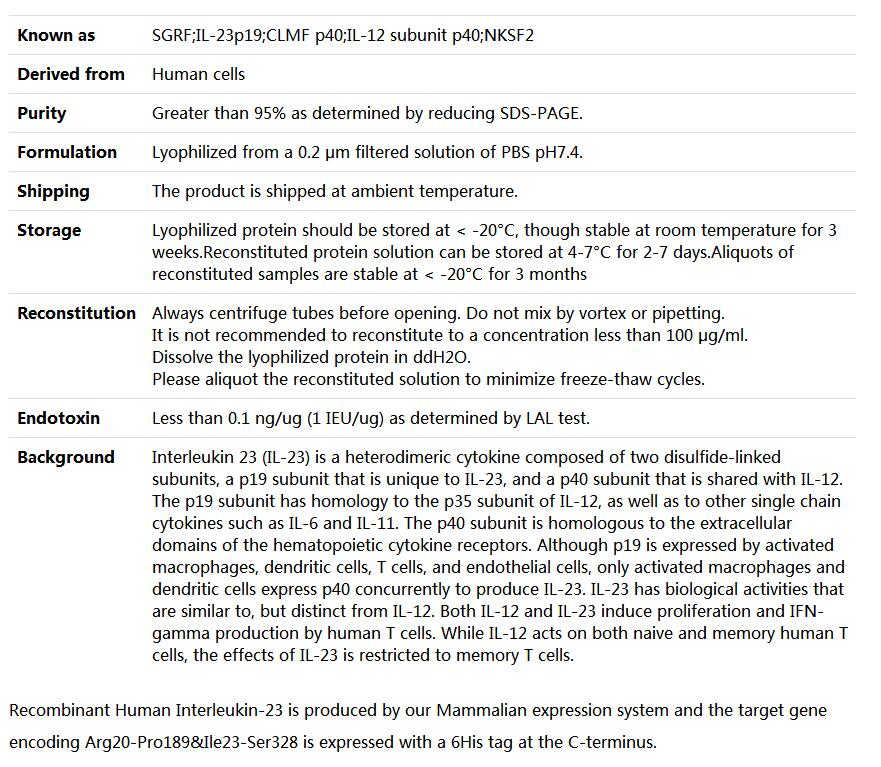 Recombinant Human IL-23(IL23A&amp;amp;IL12B),索莱宝,P00181-1mg