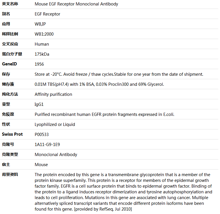 EGF Receptor Antibody,索莱宝,K000137M-100ul