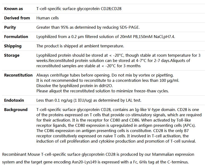 Recombinant Mouse T-cell-specific surface glycoprotein CD28/CD28,索莱宝,P00178-50ug