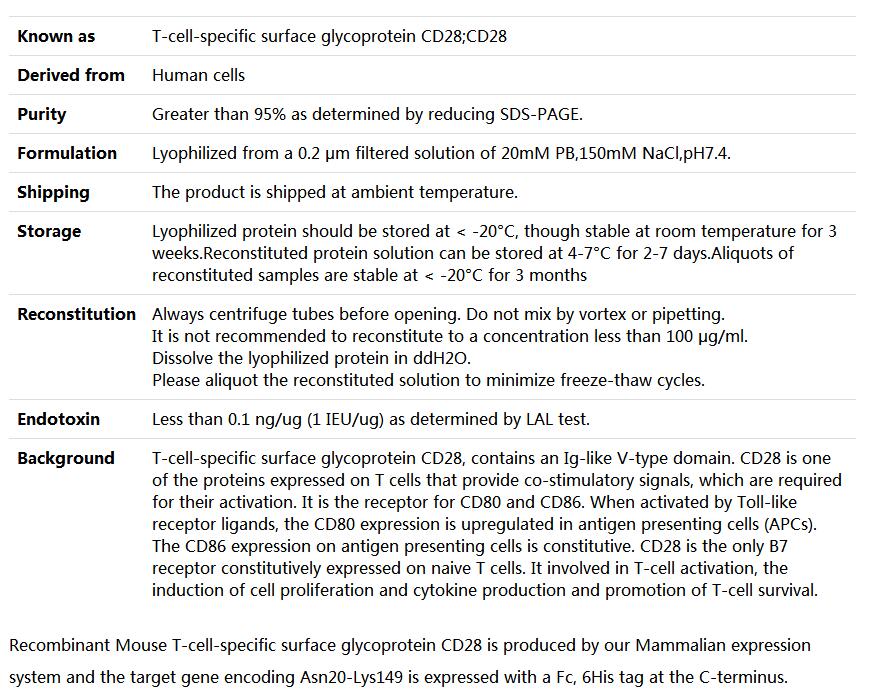 Recombinant Mouse T-cell-specific surface glycoprotein CD28/CD28,索莱宝,P00178-1mg