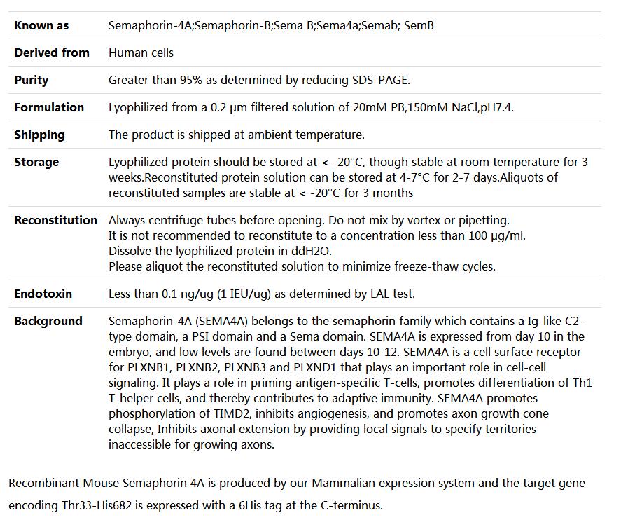 Recombinant Mouse Semaphorin 4A/SEMA4A,索莱宝,P00177-1mg