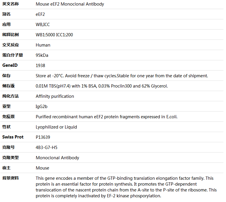 eEF2 Antibody,索莱宝,K000055M-100ul