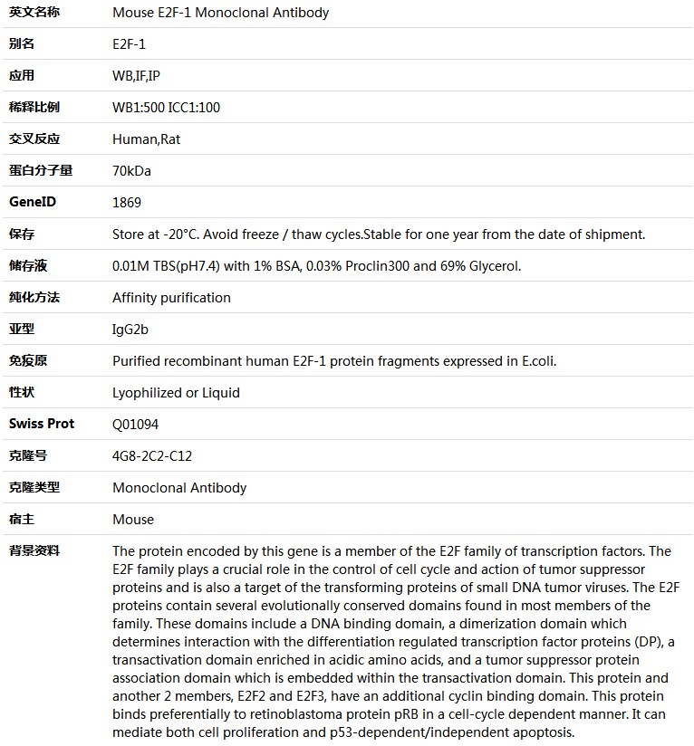 E2F-1 Antibody,索莱宝,K000152M-100ul