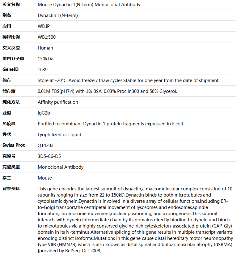 Dynactin 1(N-term) Antibody,索莱宝,K000007M-100ul