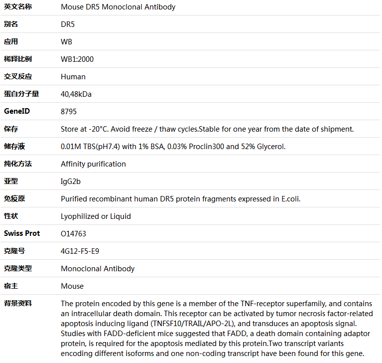 DR5 Antibody,索莱宝,K000103M-50ul