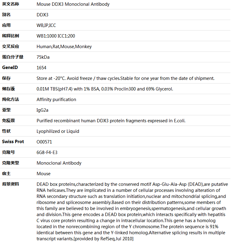 DDX3 Antibody,索莱宝,K000146M-100ul