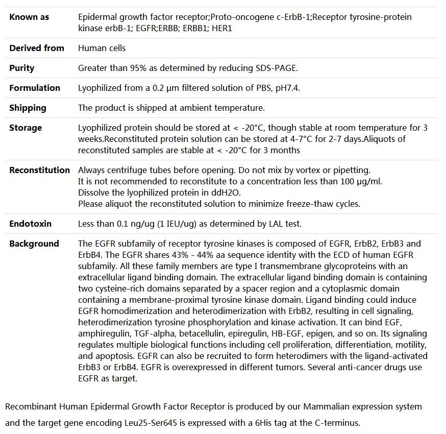 Recombinant Human EGFR/HER1/ERBB1,索莱宝,P00176-10ug