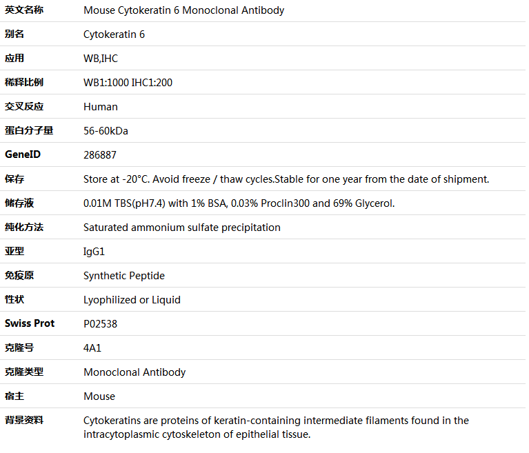 Cytokeratin 6 Antibody,索莱宝,K000205M-100ul