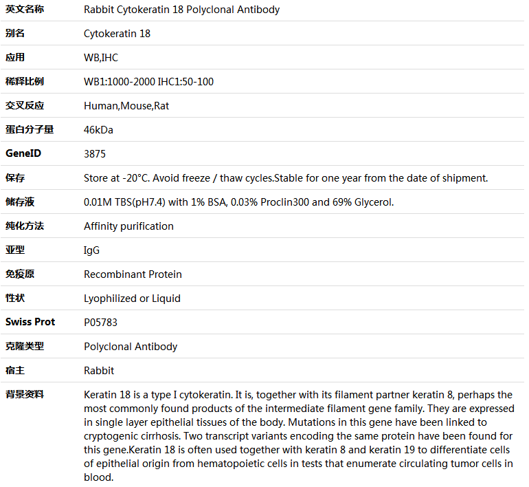 Cytokeratin 18 Antibody,索莱宝,K000484P-100ul