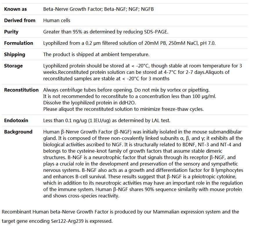 Recombinant Human beta-NGF/β-Nerve Growth Factor/β-NGF,索莱宝,P00174-50ug
