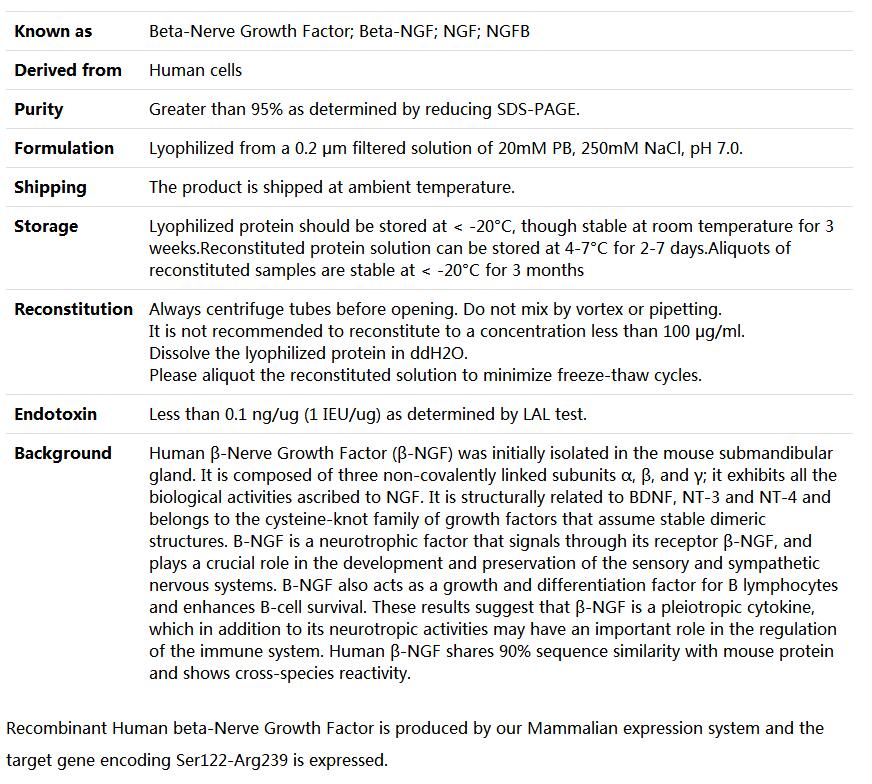 Recombinant Human beta-NGF/β-Nerve Growth Factor/β-NGF,索莱宝,P00174-1mg