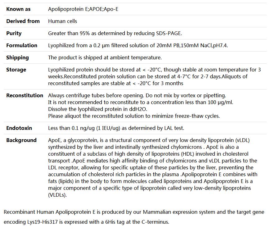 Recombinant Human Apolipoprotein E/ApoE,索莱宝,P00172-1mg