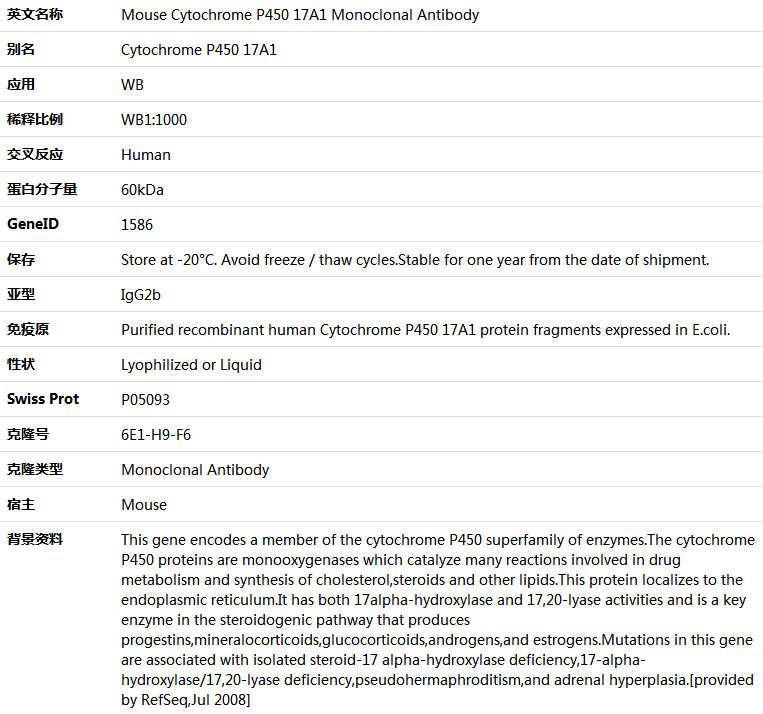 Cytochrome P450 17A1 Antibody,索莱宝,K000082M-100ul
