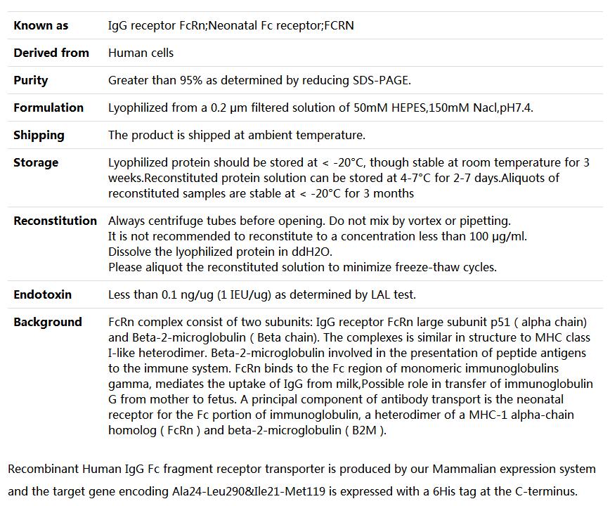 Recombinant Human FCGRT &amp;amp; B2M Heterodimer,索莱宝,P00171-1mg