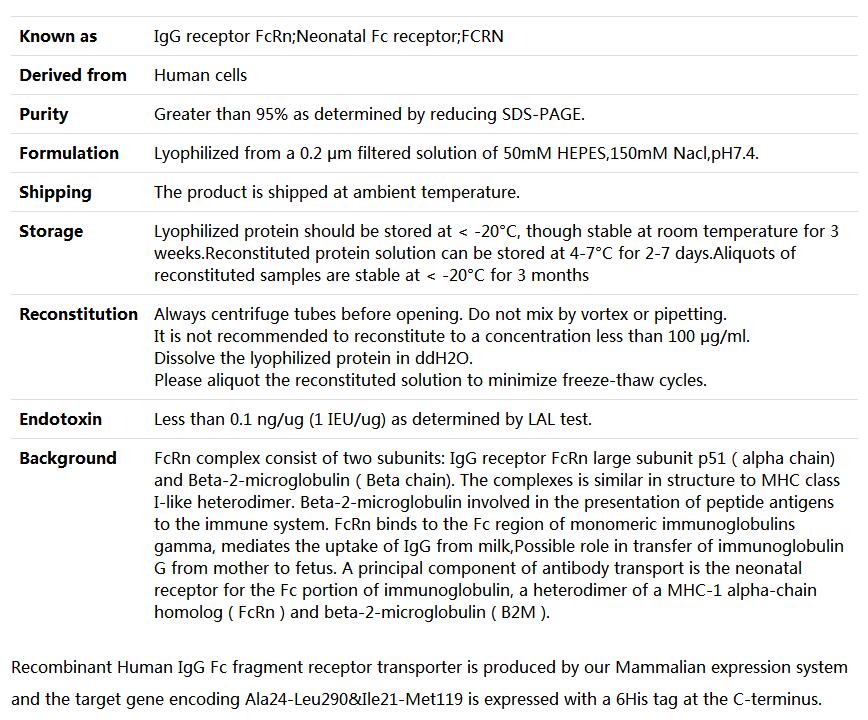 Recombinant Human FCGRT & B2M Heterodimer,索莱宝,P00171-10ug