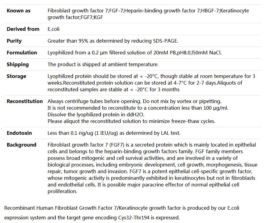 Recombinant Human FGF7/FGF-7/KGF,索莱宝,P00169-10ug