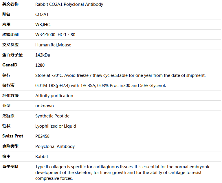 CO2A1 Antibody,索莱宝,K001297P-100ul