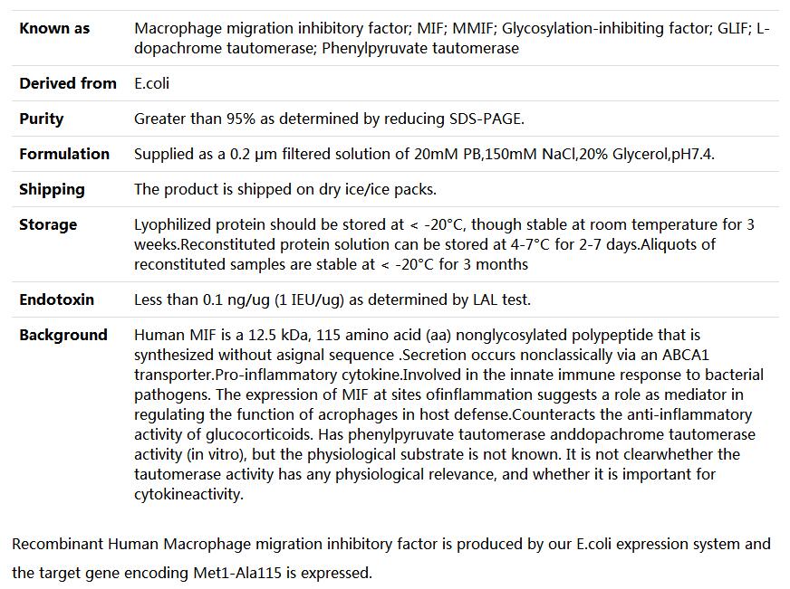 Recombinant Human MIF/Macrophage migration inhibitory factor,索莱宝,P00166-50ug