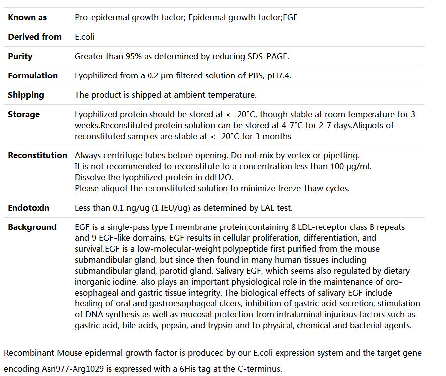 Recombinant Mouse EGF/epidermal growth factor,索莱宝,P00165-500ug