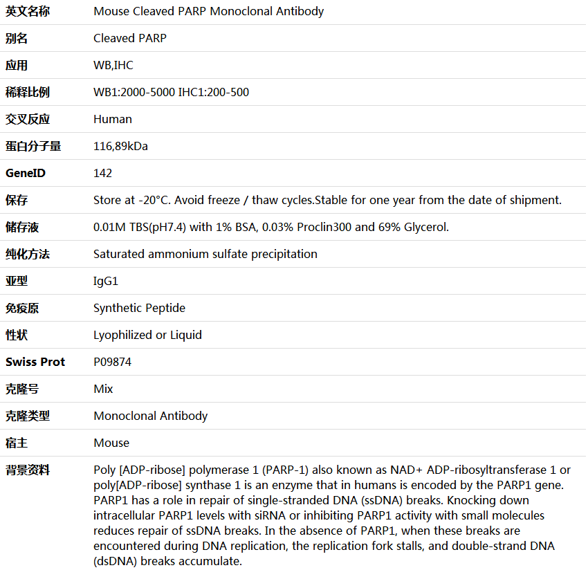 Cleaved PARP Antibody,索莱宝,K000215M-50ul