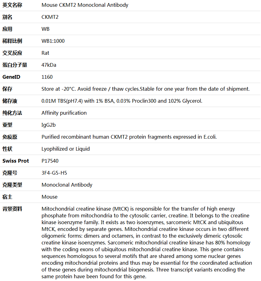 CKMT2 Antibody,索莱宝,K000077M-100ul