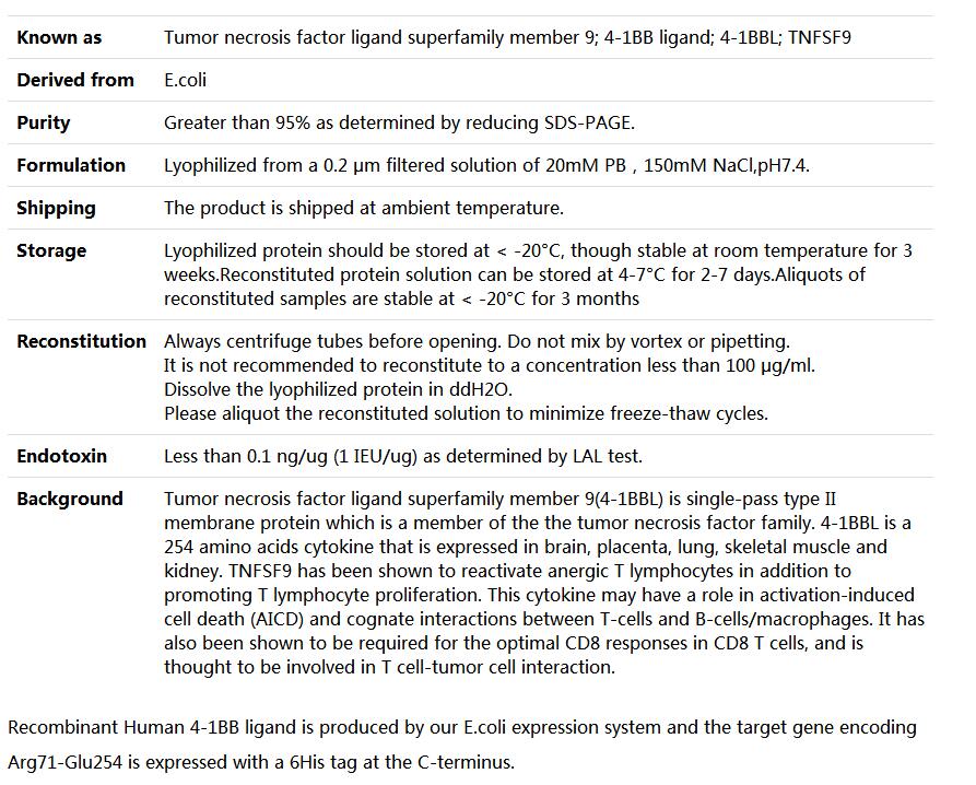 Recombinant Human TNFSF9/TNF ligand superfamily member 9/4-1BBL,索莱宝,P00163-10ug