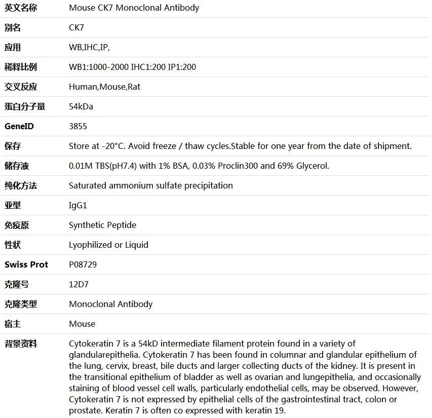 CK7 Antibody,索莱宝,K000199M-50ul