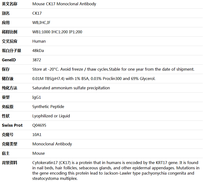 CK17 Antibody,索莱宝,K000206M-100ul