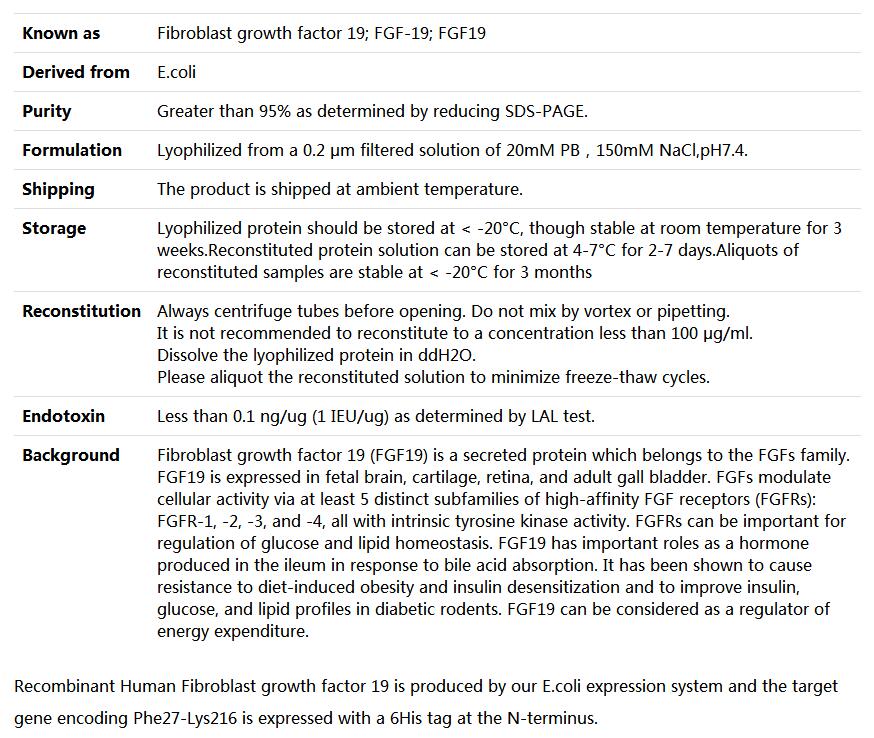 Recombinant Human FGF19,索莱宝,P00160-500ug