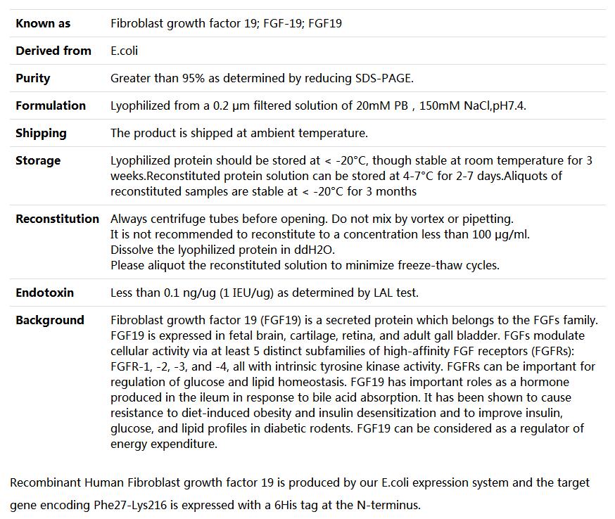 Recombinant Human FGF19,索莱宝,P00160-10ug